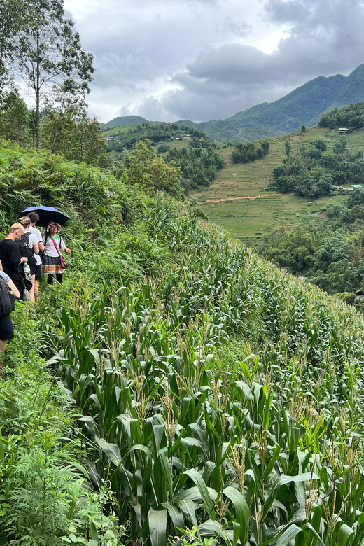 Explore Sapa by TrekkingAdventures, Mountain,Rice fields - The guides are the heart of the experience