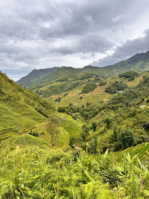 Explore Sapa by TrekkingAdventures, Mountain,Rice fields - Rain, fog, and the real Sapa forecast