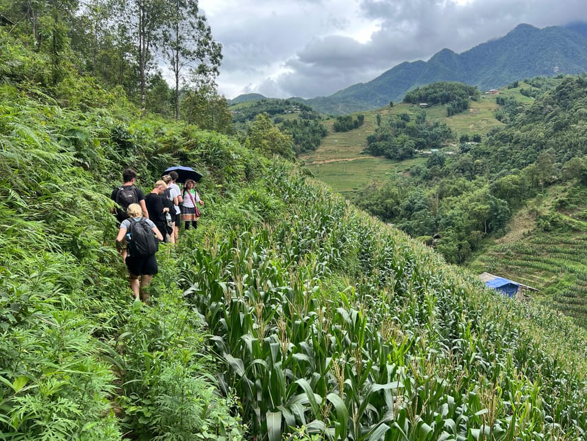 Explore Sapa by TrekkingAdventures, Mountain,Rice fields - Y Linh Ho: rice terraces and a steep start