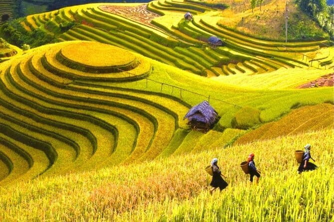 Fansipan Mountain, Cat Cat Village, Rice Terrace 2 Day Sapa Tour - The 8:00 trek through Muong Hoa