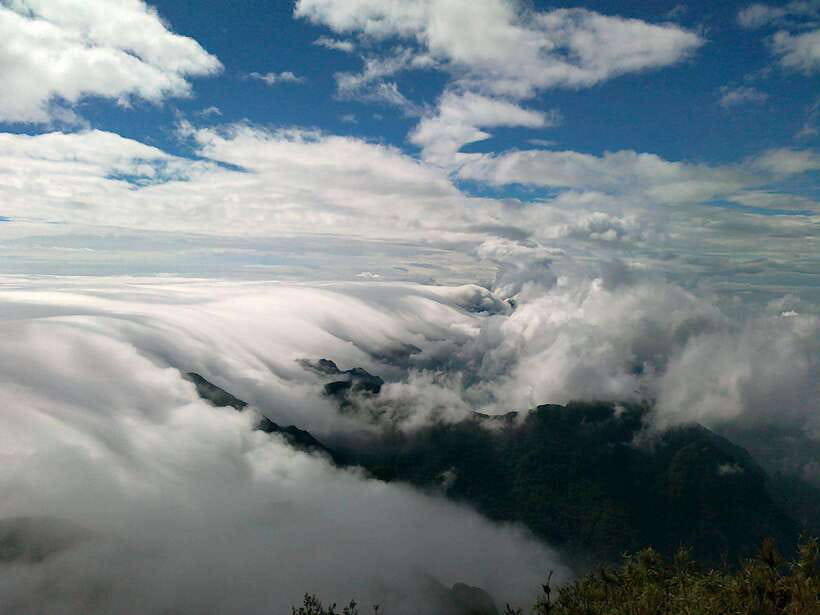 Fansipan Trekking - 1 Day - Key points to know before you book