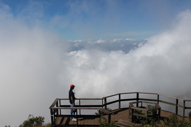 Fantastic! Famous Doi Inthanon National park tour with 2hr trekking - Pha Dok Siew and the forest route