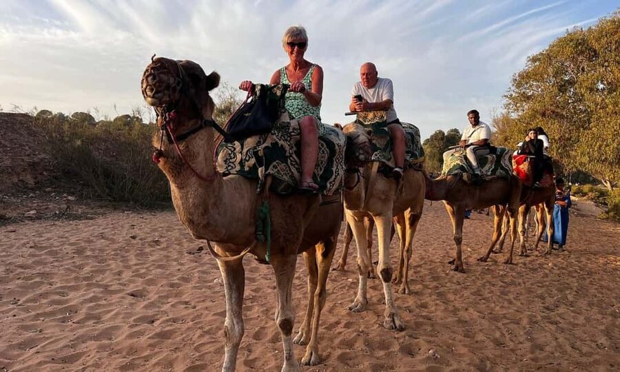 From Agadir: Camel Ride and Flamingo Trek - Key points to know before you book