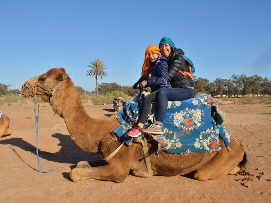 From Agadir: Camel Ride and Flamingo Trek - A camel ride beside Agadir’s Souss River