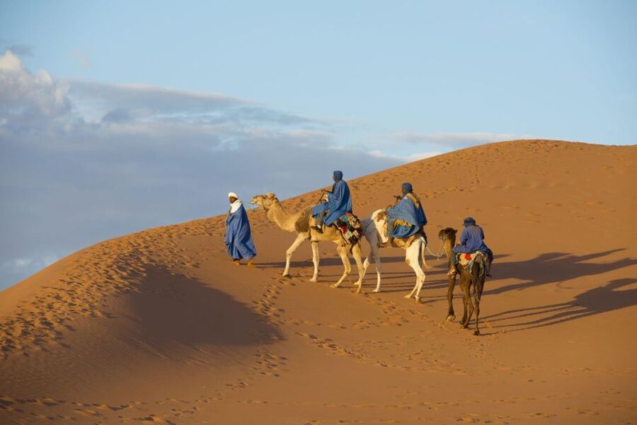 From Agadir: Camel Ride and Flamingo Trek - Dunes, ocean views, and the royal palace