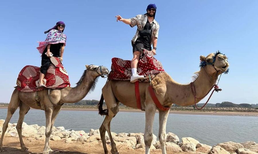 From Agadir: Camel Ride and Flamingo Trek - Sunset timing and heat matter more than you think