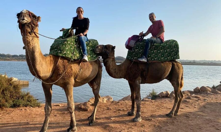 From Agadir: Camel Ride and Flamingo Trek - Mint tea, biscuits, and photographs after the ride