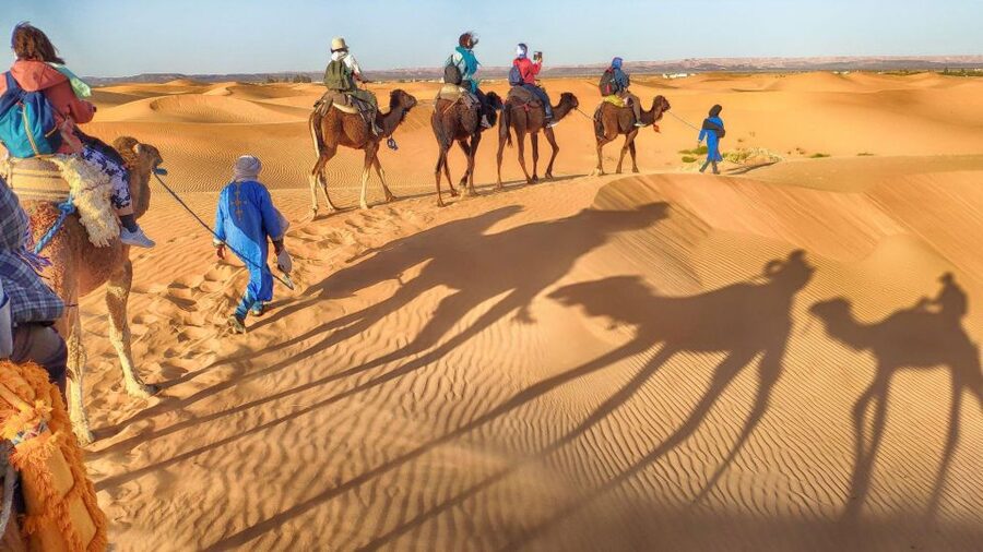 From Agadir: Camel Ride and Flamingo Trek - Why the $19 price works
