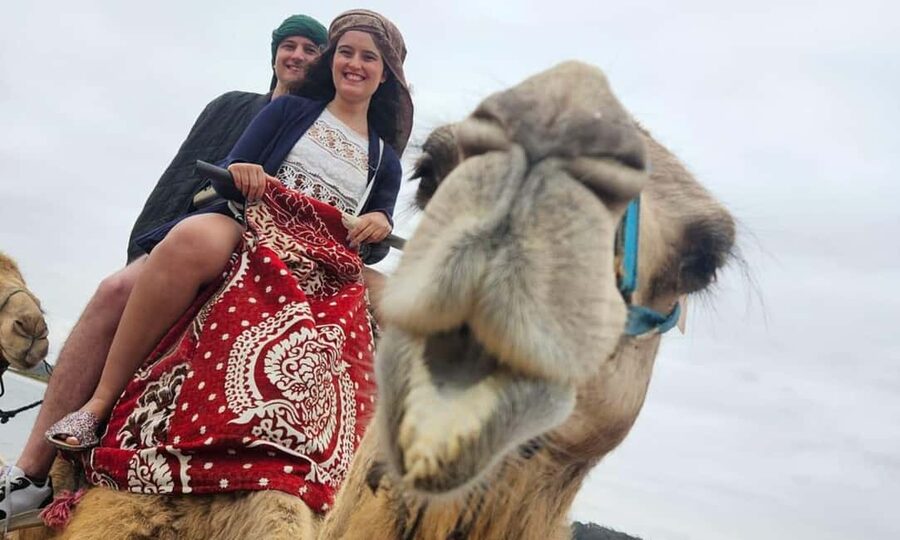 From Agadir: Camel Ride and Flamingo Trek - What the two-hour outing usually looks like