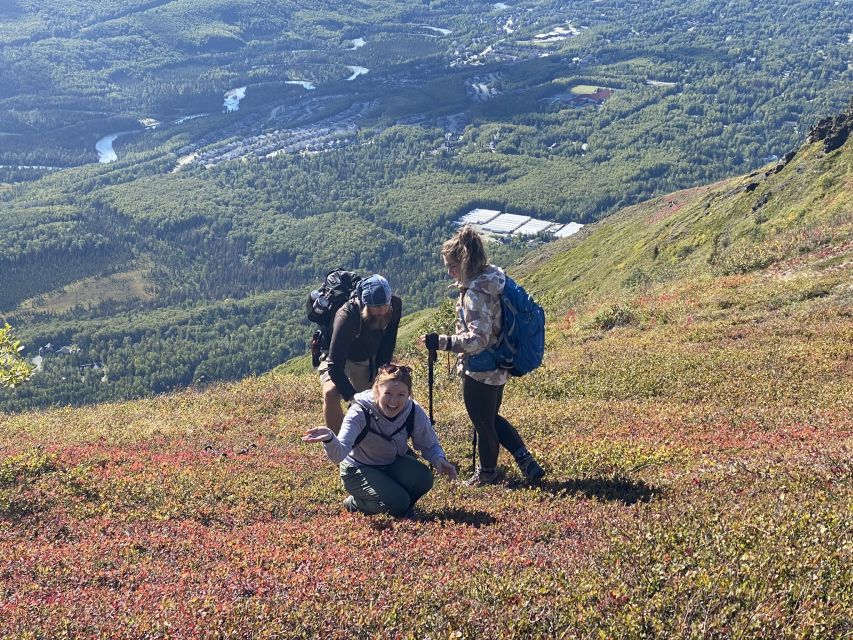 From Anchorage: Chugach State Park Guided Alpine Trek - Leaving Anchorage for Chugach State Park