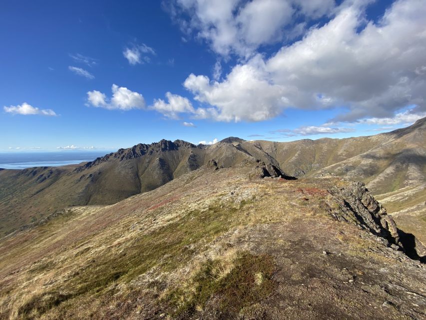 From Anchorage: Chugach State Park Guided Alpine Trek - Walking through treeless alpine tundra