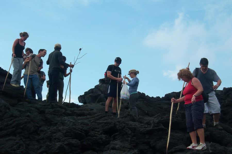 From Antigua: Pacaya Volcano Trek - Who should book this hike