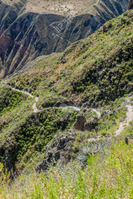 From Arequipa: 2-Day Colca Canyon Trekking Tour - Who should book this trek?