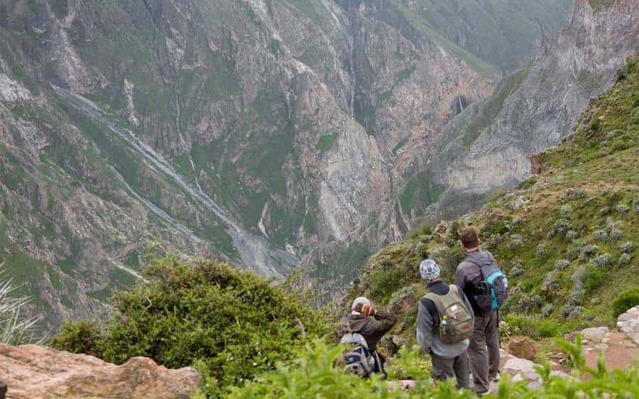 From Arequipa: 2-Day Colca Canyon Trekking Tour - Cruz del Cóndor and the morning flight
