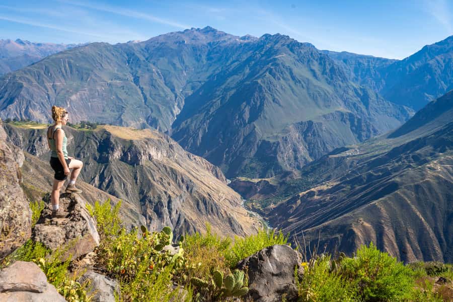 From Arequipa: 2-Day Colca Canyon Trekking Tour - The 4:30 a.m. climb back to the rim