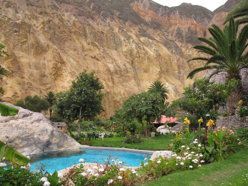 From Arequipa: 3-Day Colca Canyon Trek - Llahuar: hot springs, trout, and a quiet canyon night