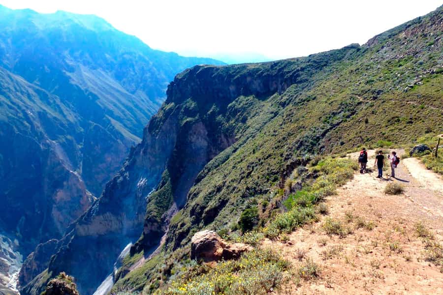 From Arequipa Trek : 2-Days of Hiking in the Colca Canyon - Key points to know before you book