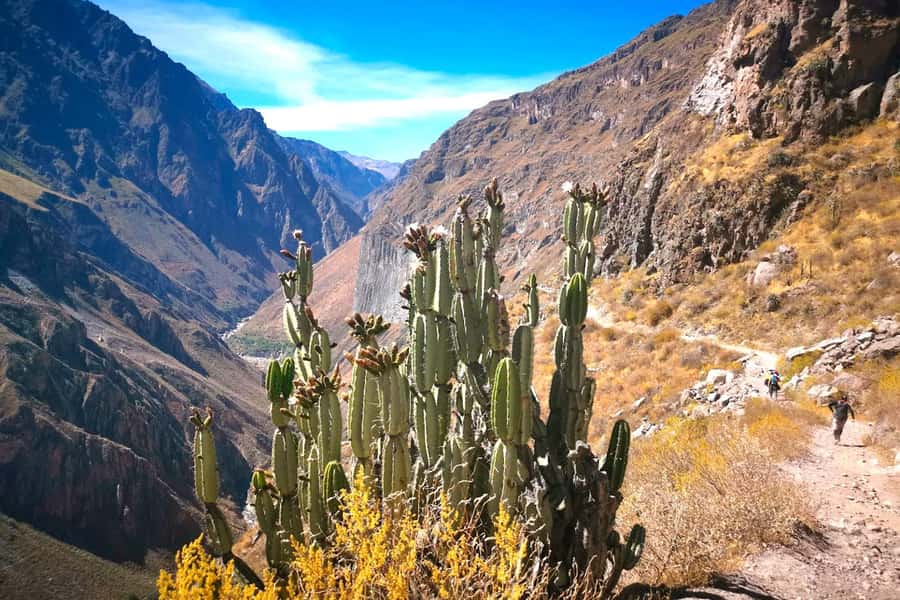 From Arequipa Trek : 2-Days of Hiking in the Colca Canyon - Cruz del Condor before the real hiking begins