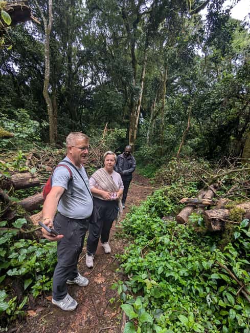 From Arusha/Moshi: Kilimanjaro Hike Marangu Route Day Trip - Reaching Mandara Hut at 2,720 meters