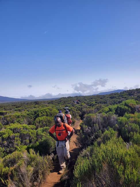 From Arusha/Moshi: Kilimanjaro Hike Marangu Route Day Trip - The descent back through the forest