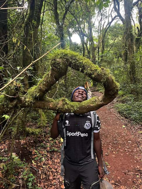 From Arusha/Moshi: Kilimanjaro Hike Marangu Route Day Trip - Lunch, water, and what you need to carry