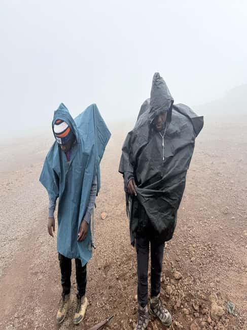 From Arusha/Moshi: Kilimanjaro Hike Marangu Route Day Trip - Is $101 a fair price?