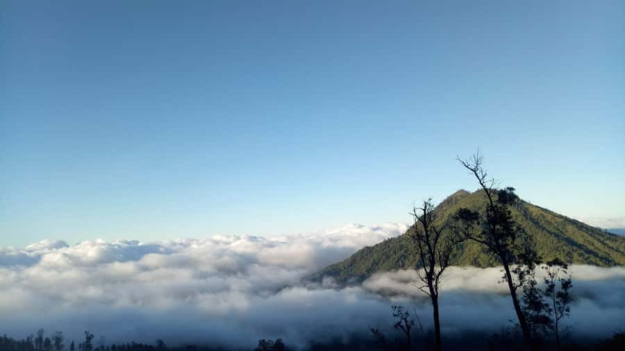 From Bali : The Majestic Mount Ijen Sunrise Trekking - The sulfur miners and the human side of Ijen