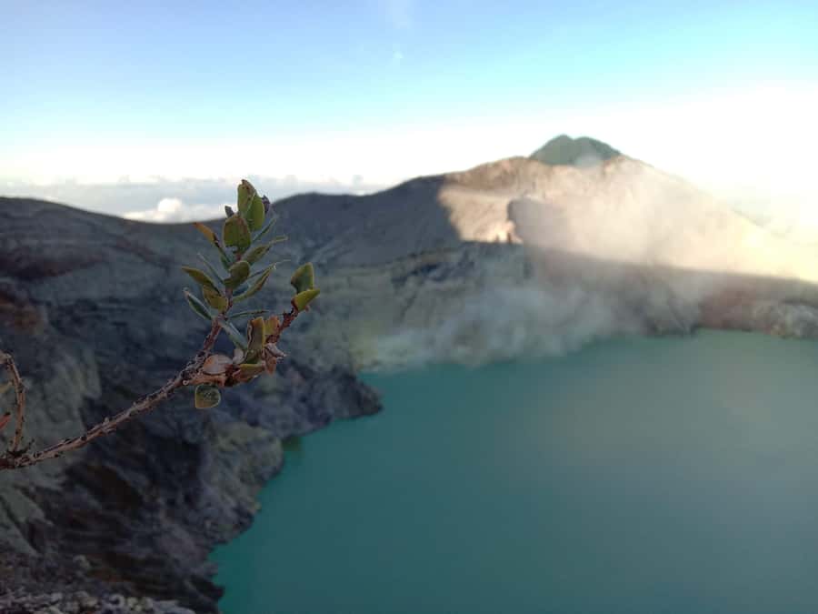 From Bali : The Majestic Mount Ijen Sunrise Trekking - Trolley service for the hardest section