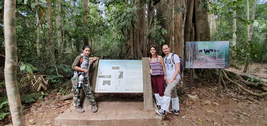From Bangkok: Khao Yai National Park Jungle Trek with Lunch - Is $181 good value?