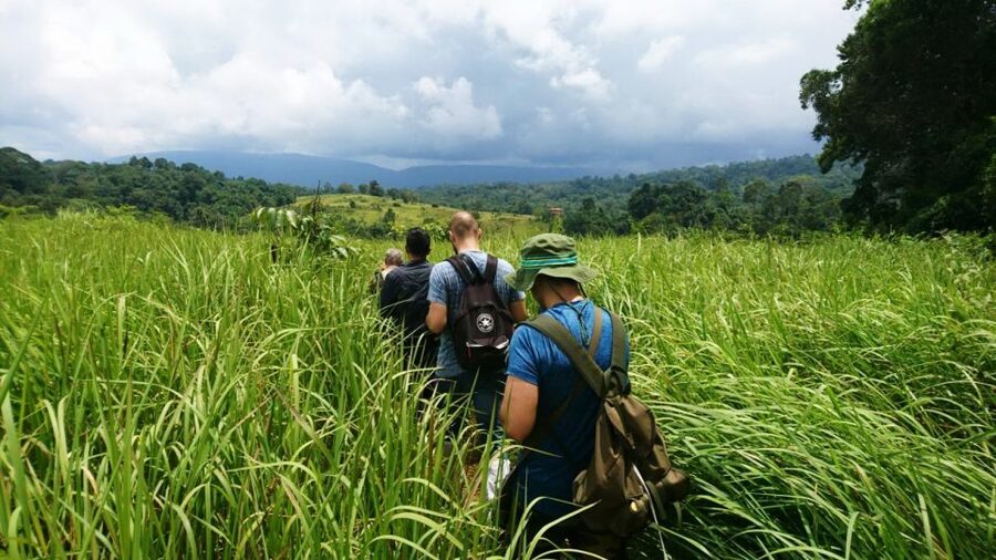 From Bangkok: Khao Yai National Park Jungle Trek with Lunch - Visitor center and Sai Sorn Reservoir