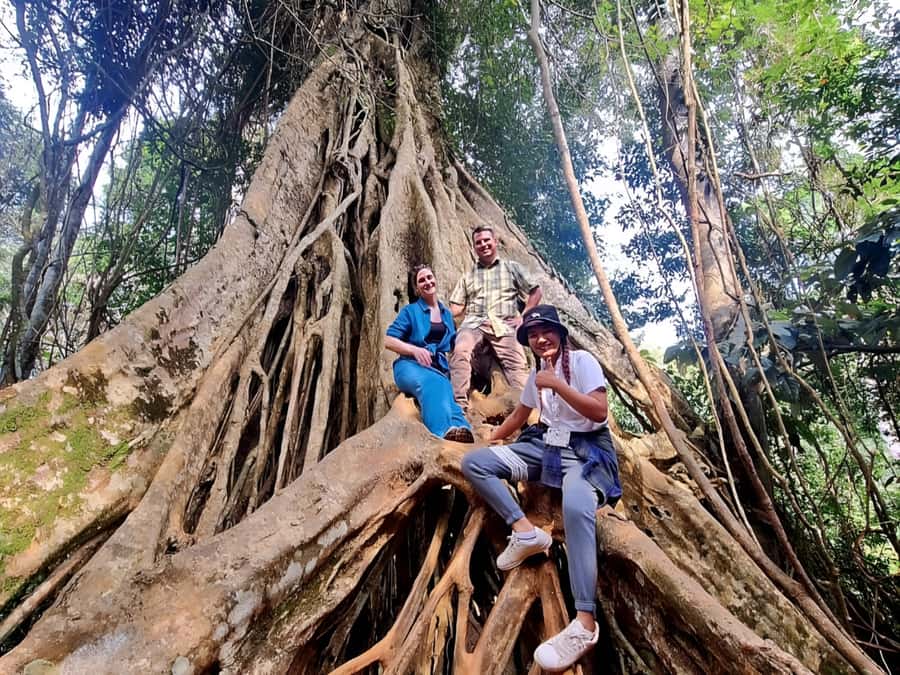 From Bangkok: Khao Yai National Park Jungle Trek with Lunch - Lam Ta Khong Campground and the trip home