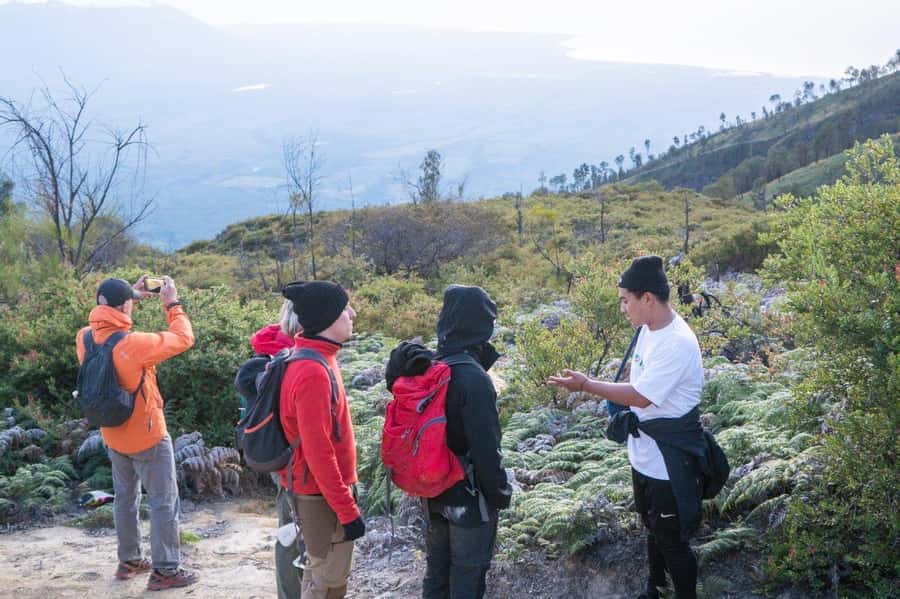 From Banyuwangi: Day Trip to Ijen Volcano with Guided Trek - Why Ijen is worth the early alarm