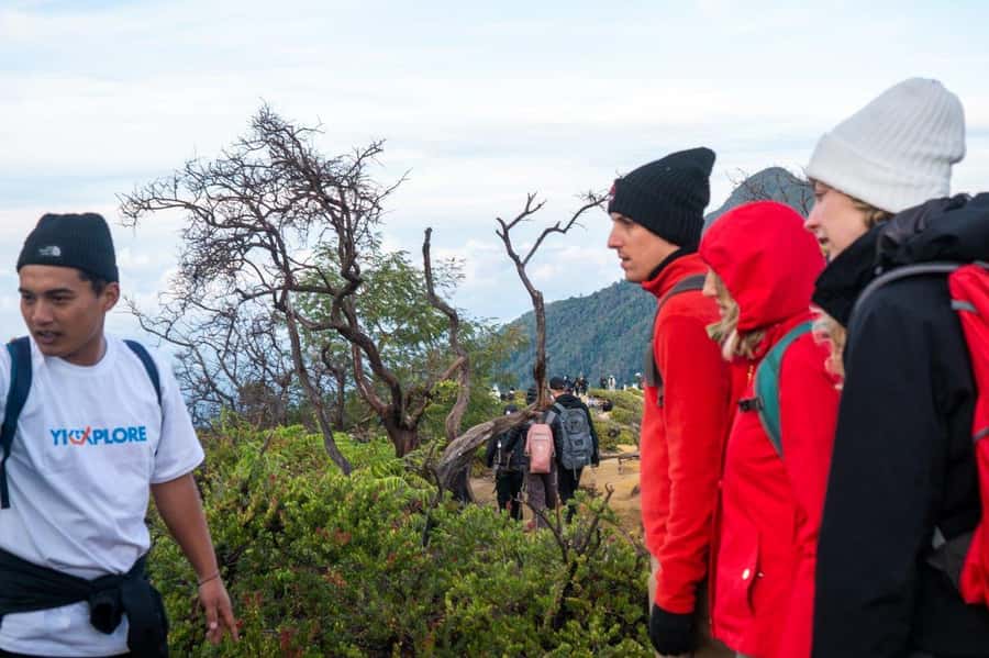 From Banyuwangi: Day Trip to Ijen Volcano with Guided Trek - What the guides add to the experience
