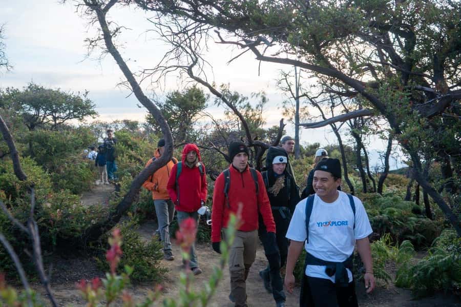 From Banyuwangi: Day Trip to Ijen Volcano with Guided Trek - Is $43 good value for this Ijen day trip?