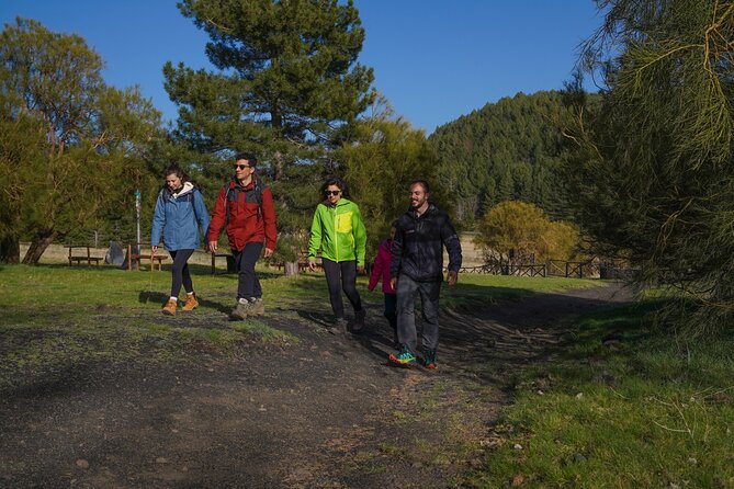 From Catania: Private mt. Etna trekking and pic-nic - What the Private Format Adds