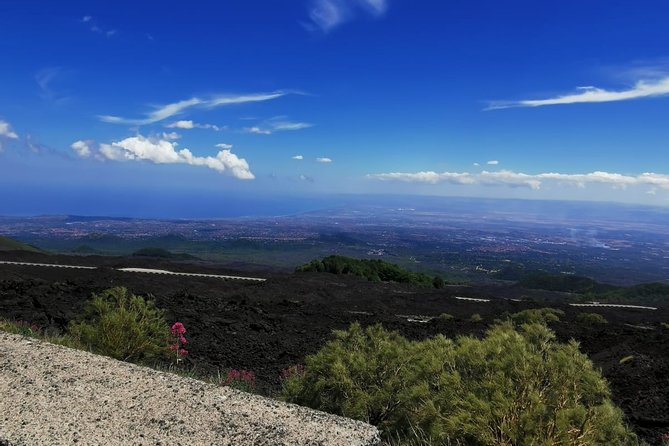 From Catania: Private mt. Etna trekking and pic-nic - Who Will Enjoy This Etna Experience