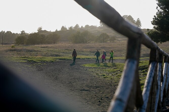 From Catania: Private mt. Etna trekking and pic-nic - Five Hours Along Natural Paths