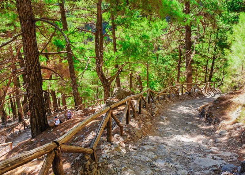 From Chania: Full-Day Samaria Gorge Trek Excursion & Guide - Guides, group rhythm, and the private option