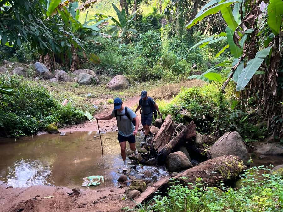 From Chiang Mai: High Mountain Day Trek - Lunch with a mountain view