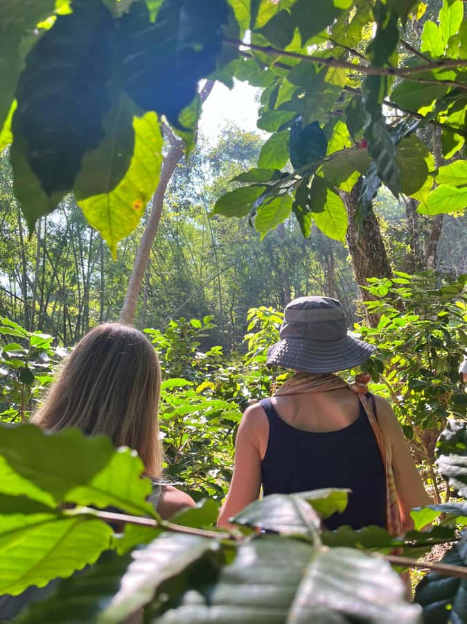 From Chiang Mai: High Mountain Day Trek - Walking through a hill village