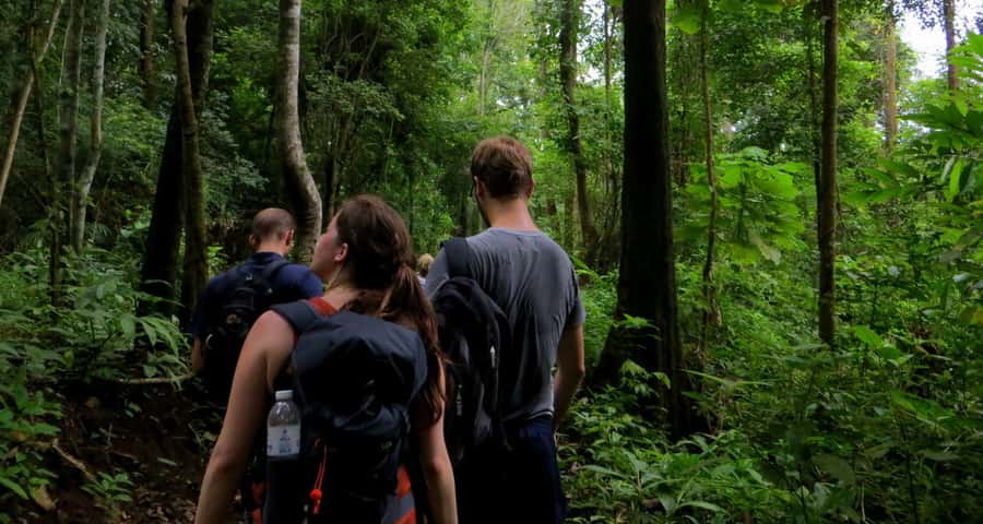 From Chiang Mai: High Mountain Day Trek - How hard is the hike?