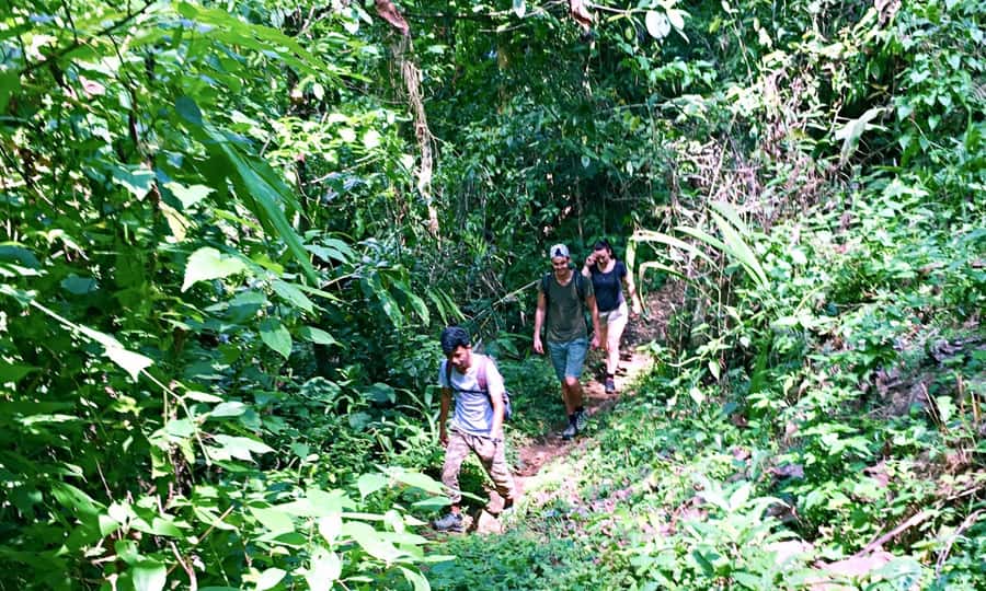From Chiang Mai: High Mountain Day Trek - What the $73 price includes