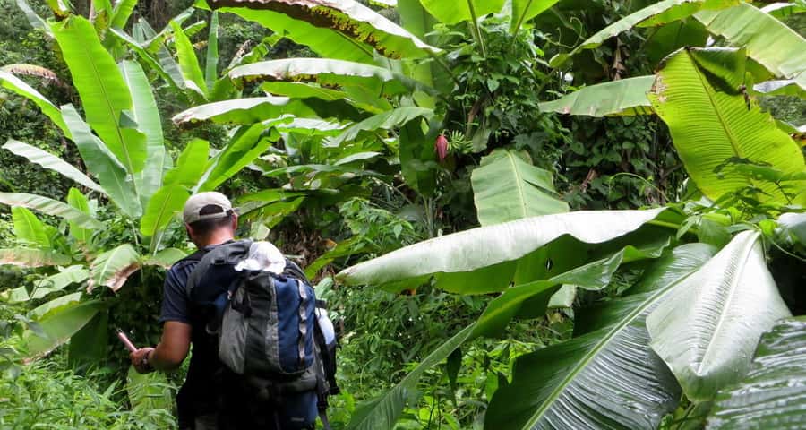 From Chiang Mai: High Mountain Day Trek - The guide makes or breaks the day