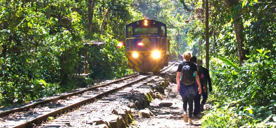 From Cusco: 2-Day Inca Trail to Machu Picchu - Entering Machu Picchu and following Circuit 2