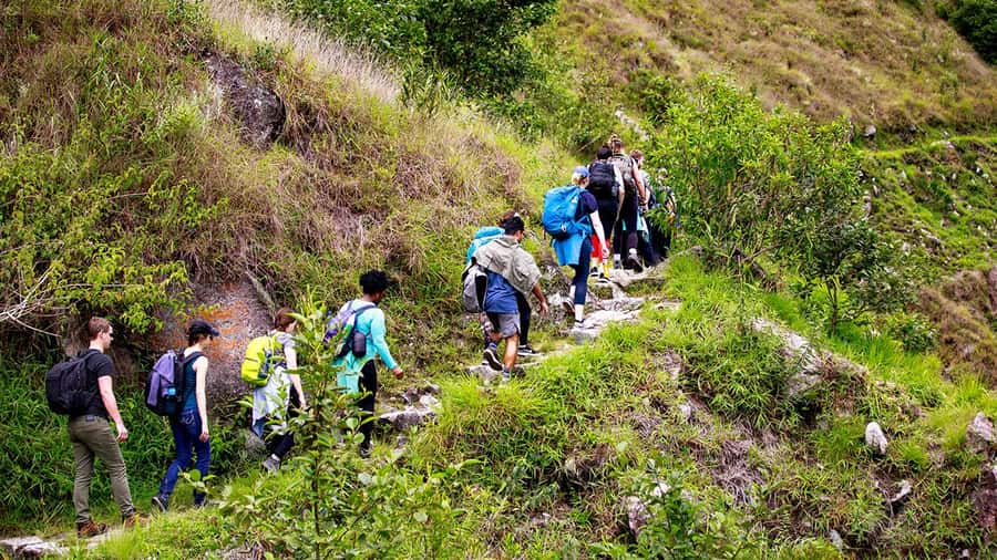 From Cusco: Machu Picchu 2-Day Inca Trail - The return train and what the $653 price covers