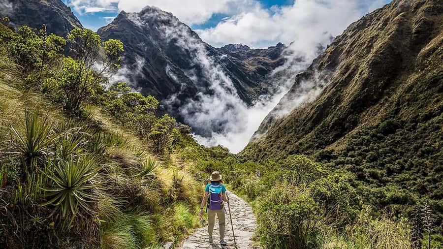From Cusco: Salkantay trek 5 days/4 nights meals included - Day three through the Santa Teresa Valley