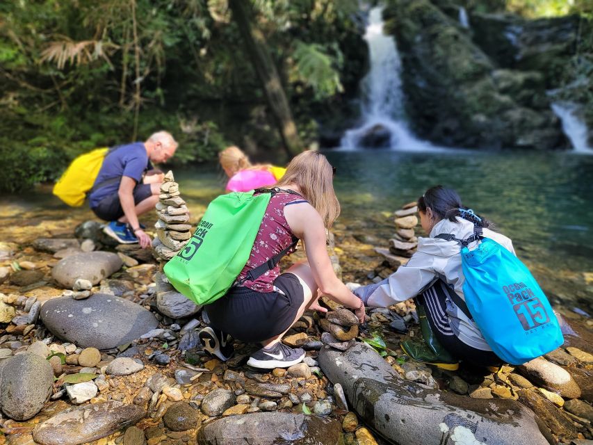 From Da Nang or Hoi An: Bach Ma National Park Trek & Lunch - What makes this Bach Ma trek worth your day