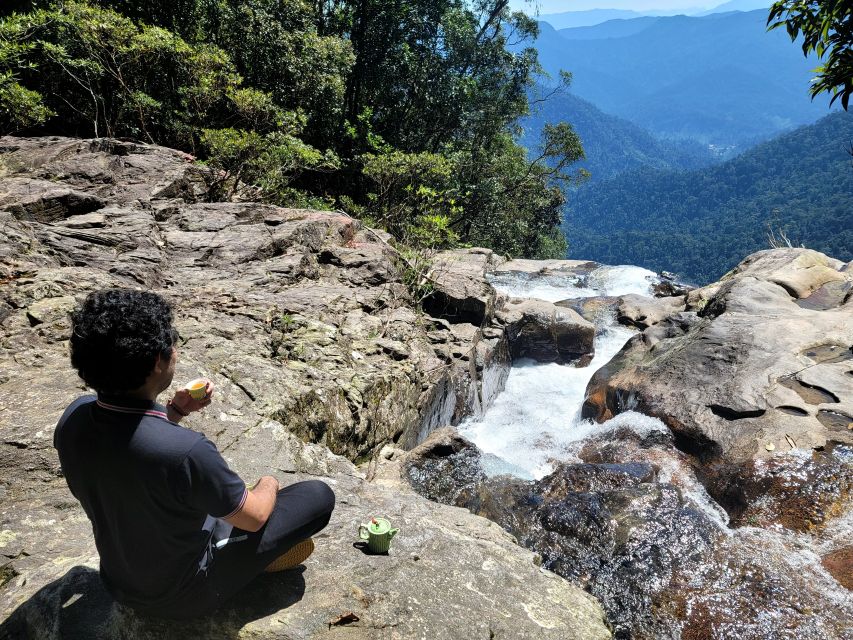 From Da Nang or Hoi An: Bach Ma National Park Trek & Lunch - My verdict on the Bach Ma experience