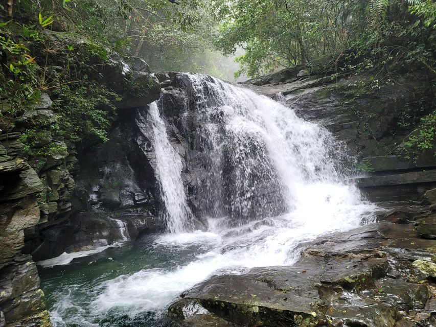From Da Nang or Hoi An: Bach Ma National Park Trek & Lunch - Do Quyen Waterfall brings the roughest walking