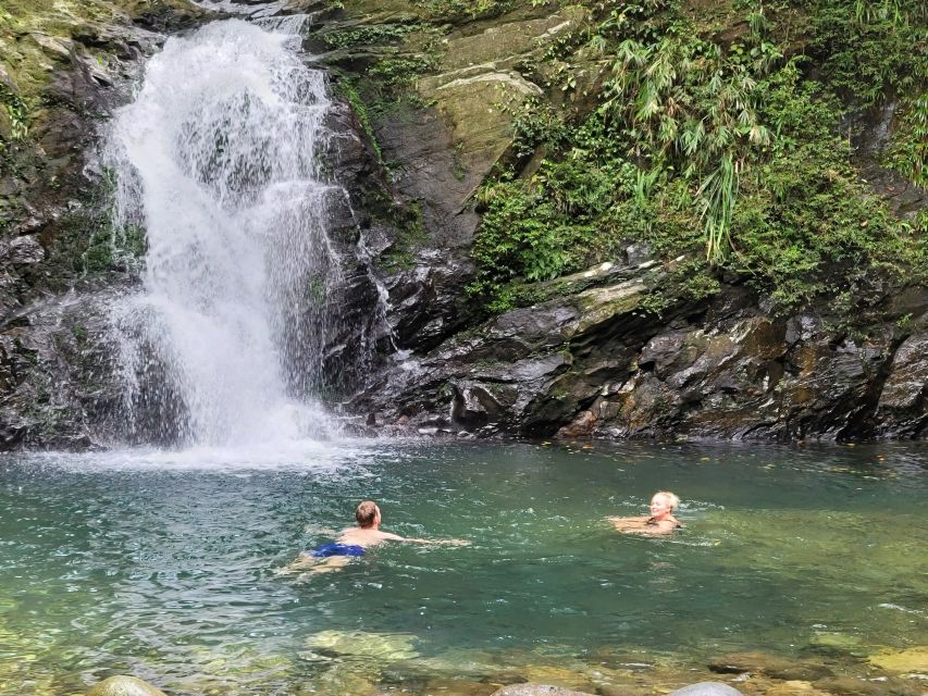 From Da Nang or Hoi An: Bach Ma National Park Trek & Lunch - Who should book this Bach Ma day trip?